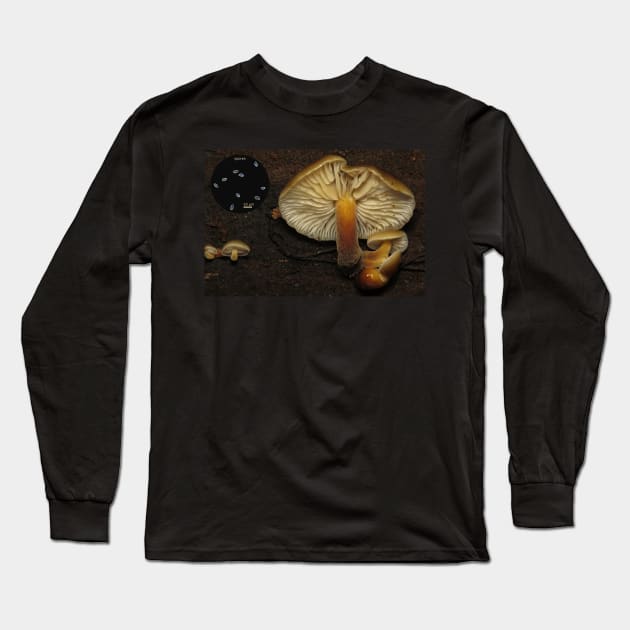 Flammulina velutipes (velvet foot mushroom) Long Sleeve T-Shirt by SDym Photography